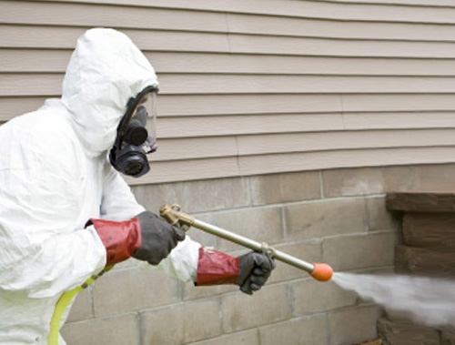 The Dangers of Fumigation and How To Avoid Them