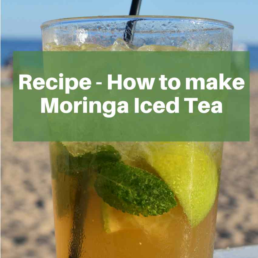 Moringa Iced tea