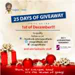 25 day Christmas giveaway