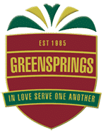Prosper Summit Sponsor- Greensprings school